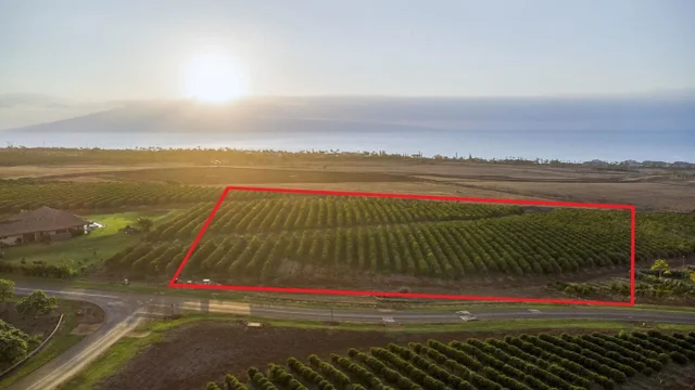 Listing Image for 517 Oka Kope St 33 of 35