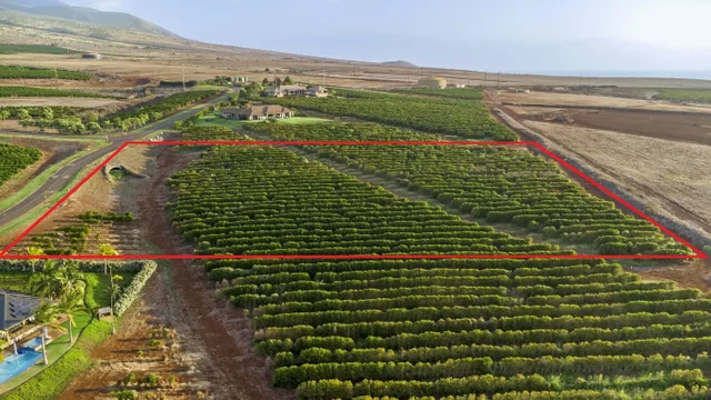 Listing Image for 517 Oka Kope St 35 of 35