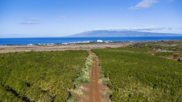 Listing Image for 517 Oka Kope St 4 of 35