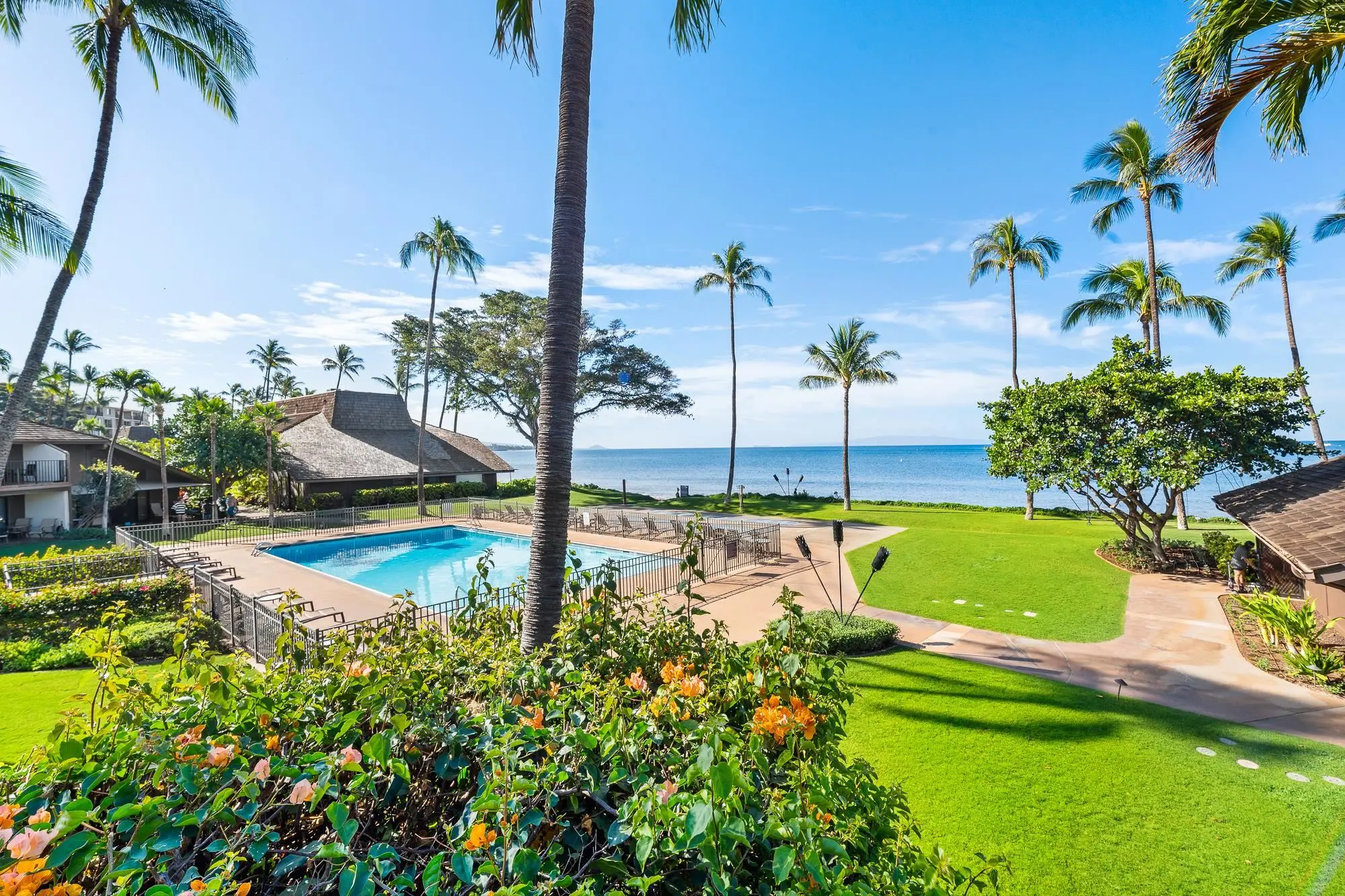 Photo of Listing #409013