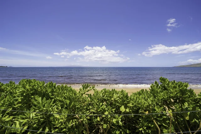 Listing Image for 36 S Kihei Rd 108 3 of 40