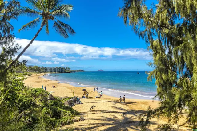 Listing Image for 7 Kaiau Pl 3 21 of 25