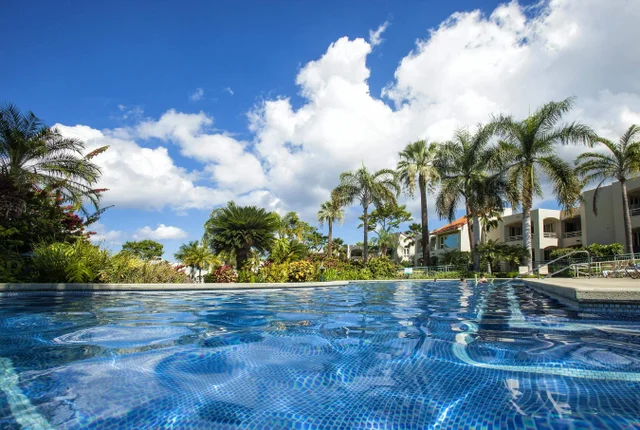 Listing Image for 3200 Wailea Alanui Dr 1501 48 of 50