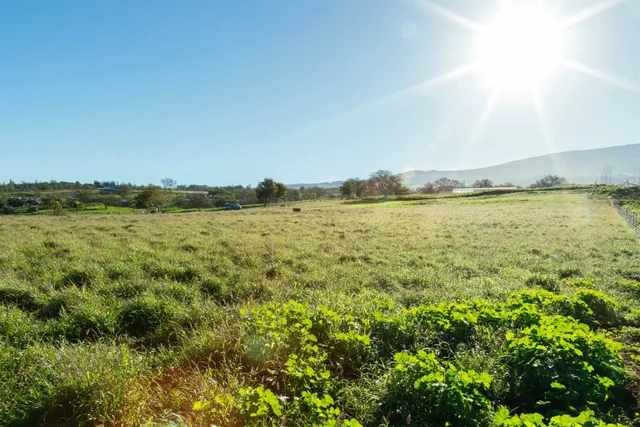 Listing Image for 182 Hoomaikai Pl Unit B 8 of 36