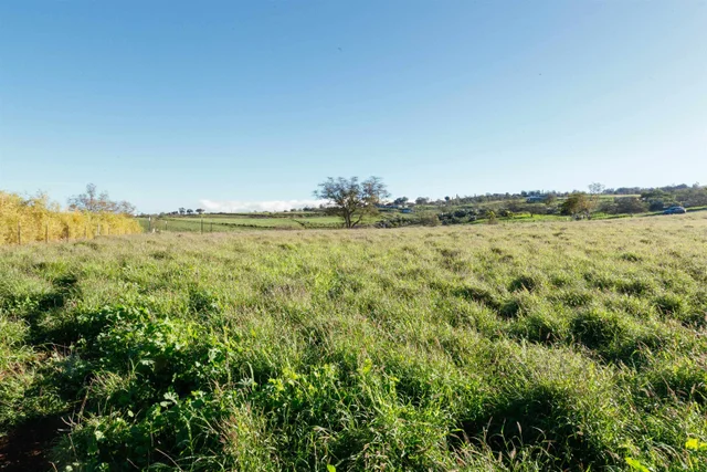 Listing Image for 182 Hoomaikai Pl Unit B 9 of 36