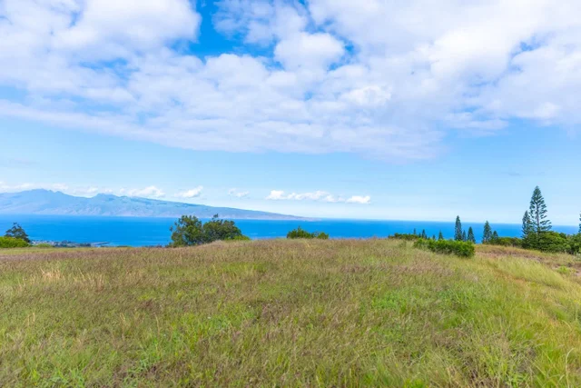 Listing Image for 238 Keoawa St Lot 21 10 of 19