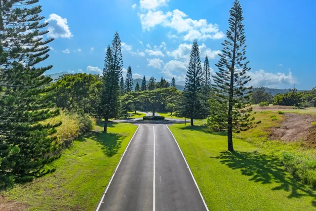 Listing Image for 238 Keoawa St Lot 21 11 of 19