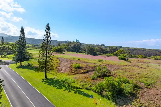 Listing Image for 238 Keoawa St Lot 21 13 of 19