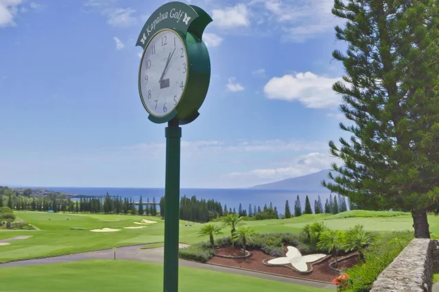 Listing Image for 238 Keoawa St Lot 21 18 of 19