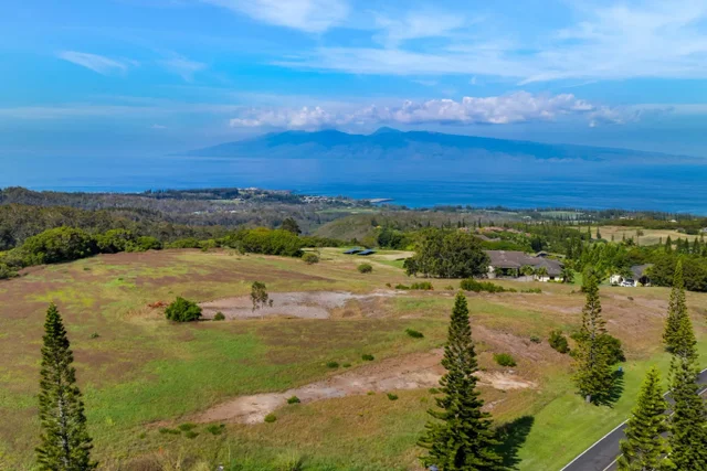 Listing Image for 238 Keoawa St Lot 21 19 of 19