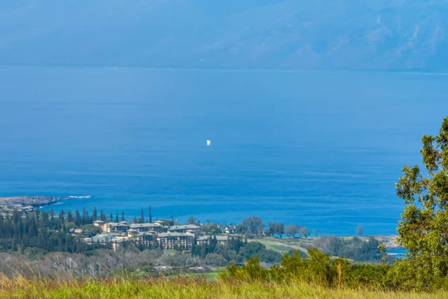 Listing Image for 238 Keoawa St Lot 21 6 of 19