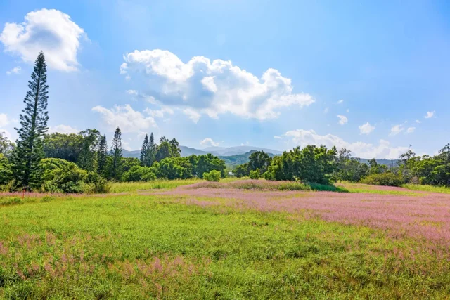 Listing Image for 238 Keoawa St Lot 21 7 of 19