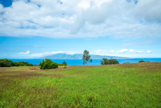 Listing Image for 238 Keoawa St Lot 21 9 of 19