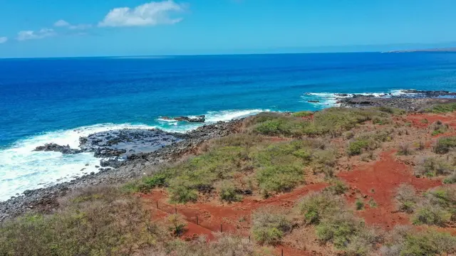 Listing Image for 4322 Pohakuloa Rd 336 5 of 14