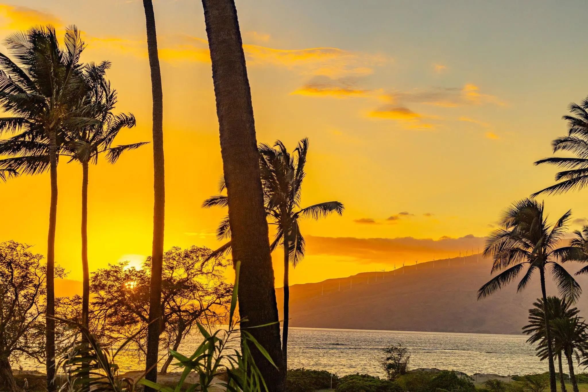 Photo of Listing #408113