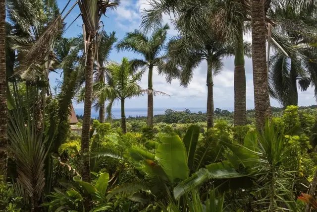 Listing Image for 57 S Honokala Rd Unit A 21 of 38