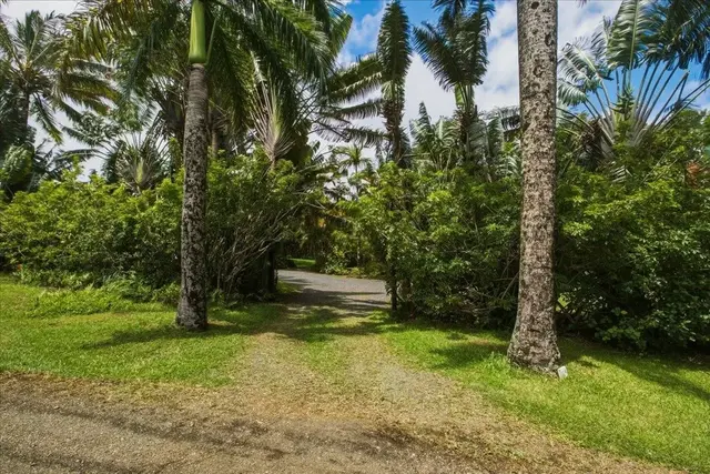 Listing Image for 57 S Honokala Rd Unit A 38 of 38