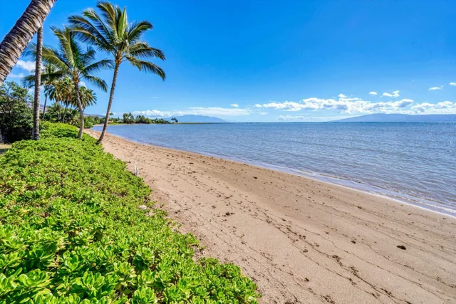 Listing Image for 2160 Kamehameha V Hwy 42 of 44