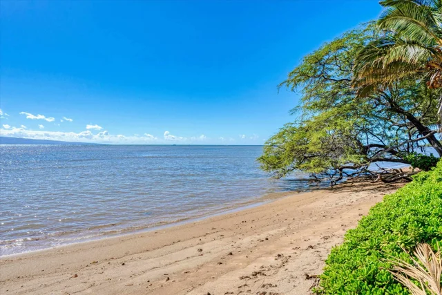 Listing Image for 2160 Kamehameha V Hwy 43 of 44