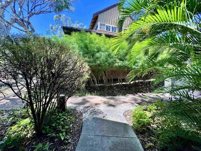Listing Image for 100 Lio Pl P2 2 of 32