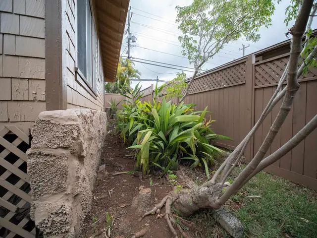 Listing Image for 1119 Makawao Ave 36 of 36