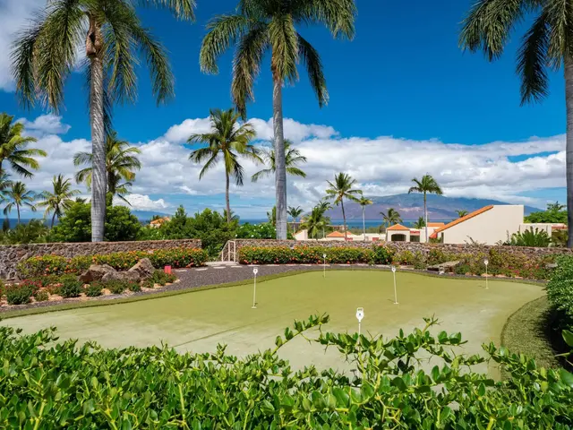 Listing Image for 3150 Wailea Alanui Dr 3201 22 of 31