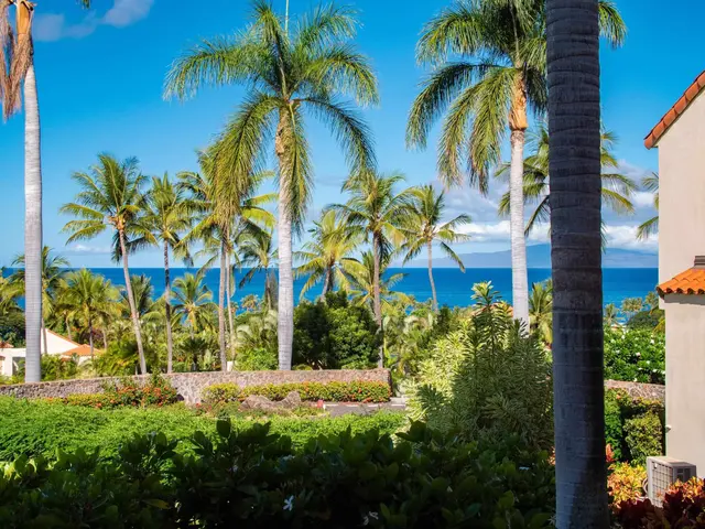 Listing Image for 3150 Wailea Alanui Dr 3201 26 of 31