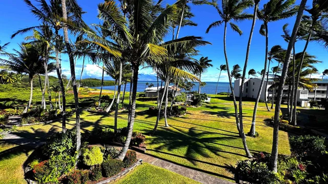 Listing Image for 7146 Kamehameha V Hwy C-312 17 of 29