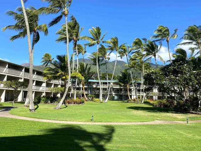 Listing Image for 7146 Kamehameha V Hwy C-312 19 of 29