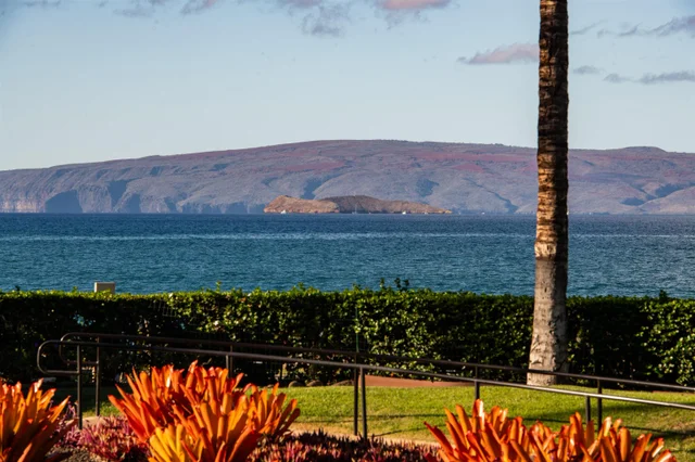 Listing Image for 3800 Wailea Alanui Dr B-101 29 of 50
