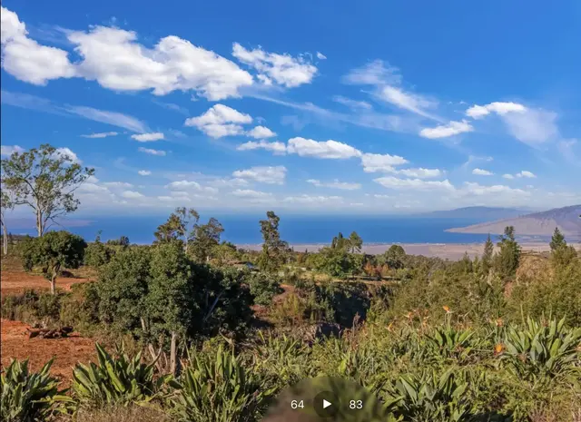 Listing Image for 0 Haleakala Hwy Unit 1 2 of 12
