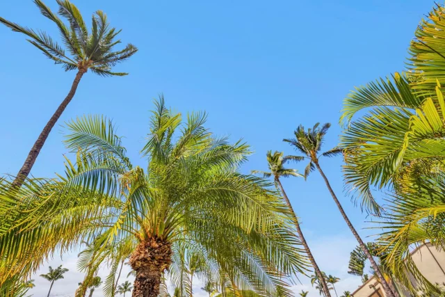 Listing Image for 2777 S Kihei Rd L-105 38 of 48