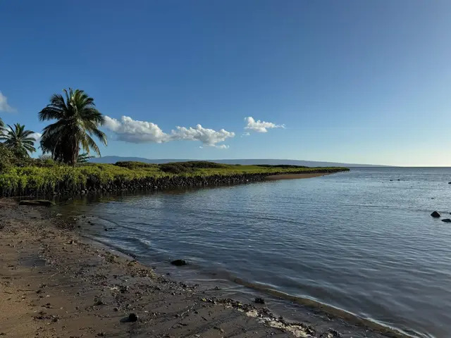 Listing Image for 2334 Kamehameha V Hwy 3 of 9