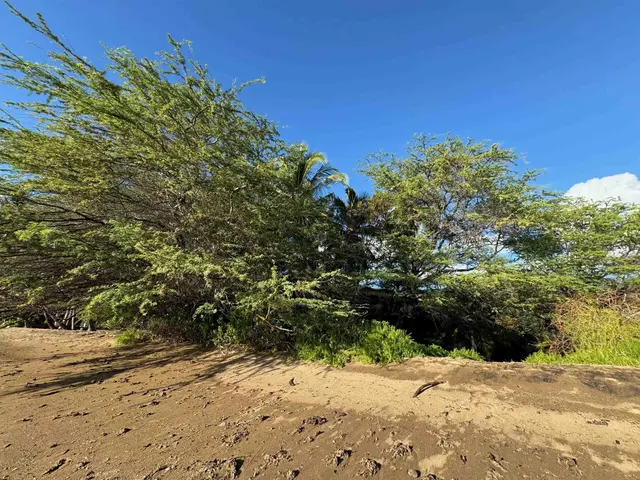 Listing Image for 2334 Kamehameha V Hwy 4 of 9