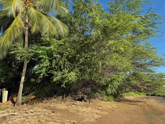 Listing Image for 2334 Kamehameha V Hwy 5 of 9