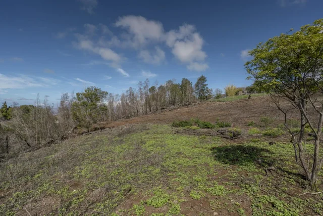 Listing Image for 230 Pulehuiki Rd Unit A 18 of 29