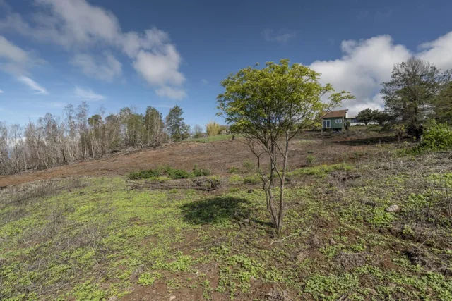 Listing Image for 230 Pulehuiki Rd Unit A 20 of 29