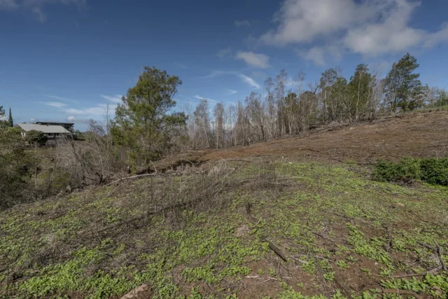 Listing Image for 230 Pulehuiki Rd Unit A 22 of 29