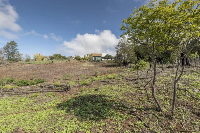 Listing Image for 230 Pulehuiki Rd Unit A 8 of 29