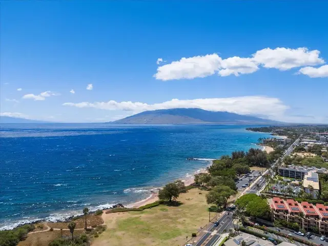 Listing Image for 160 Keonekai Rd 17-102 45 of 50