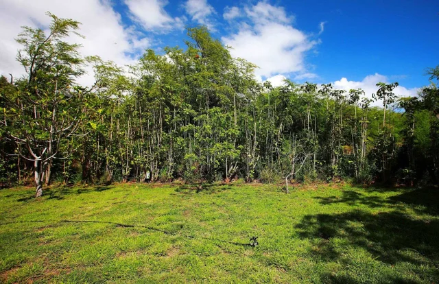 Listing Image for 854 Olowalu Rd Apt B 43 of 44