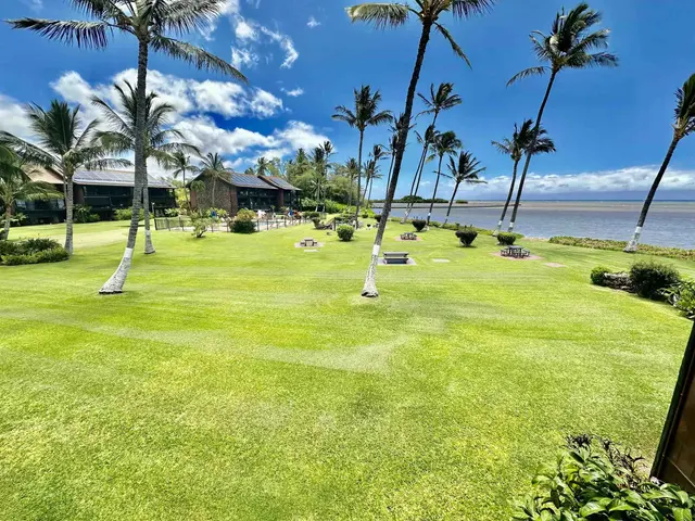 Listing Image for 1000 Kamehameha V Hwy A205 2 of 32