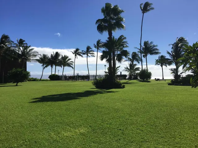 Listing Image for 1000 Kamehameha V Hwy A205 25 of 32