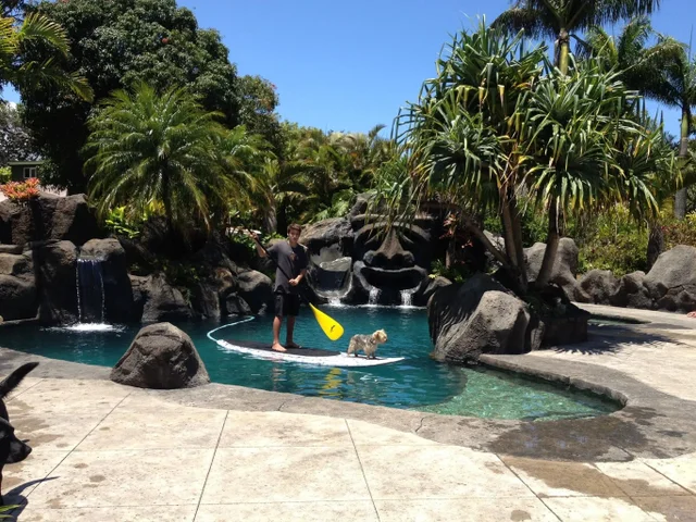 Listing Image for 1780 Kauhikoa Rd 2 of 50