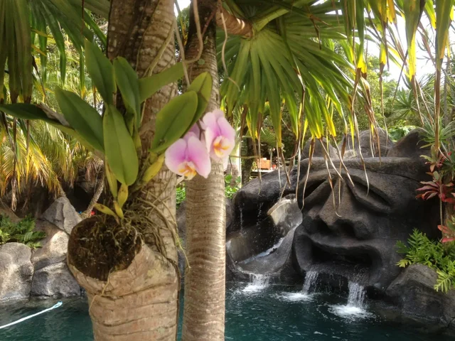 Listing Image for 1780 Kauhikoa Rd 4 of 50