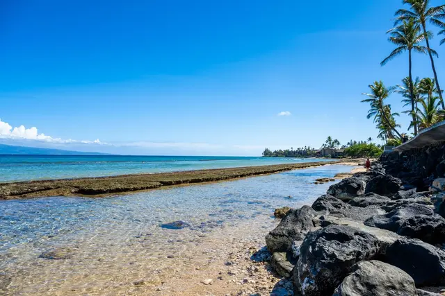 Listing Image for 3559 Lower Honoapiilani Rd 1m 2 of 31