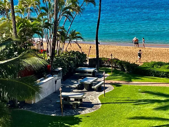 Listing Image for 2481 Kaanapali Pkwy 461 Y 2 of 28