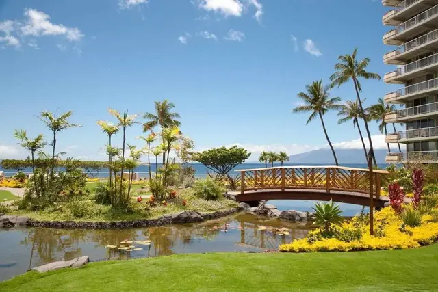 Listing Image for 2481 Kaanapali Pkwy 461 Y 26 of 28