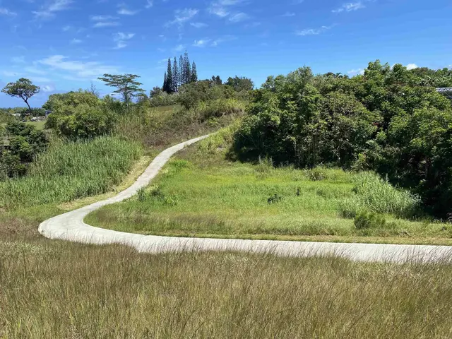 Listing Image for 28 S Honokala Rd A 38 of 50
