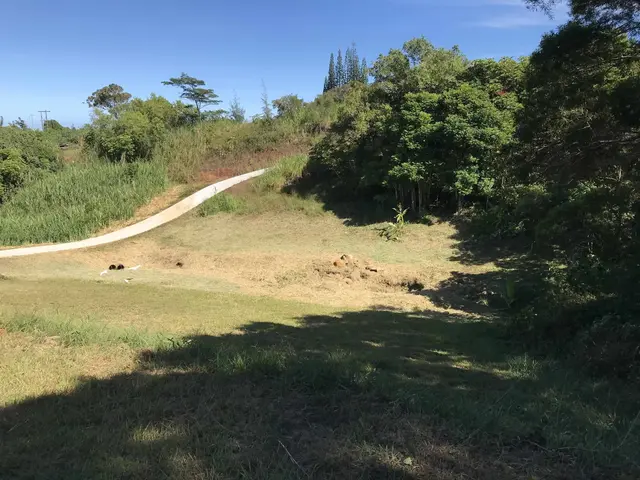 Listing Image for 28 S Honokala Rd A 39 of 50